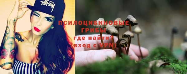 амф Корсаков