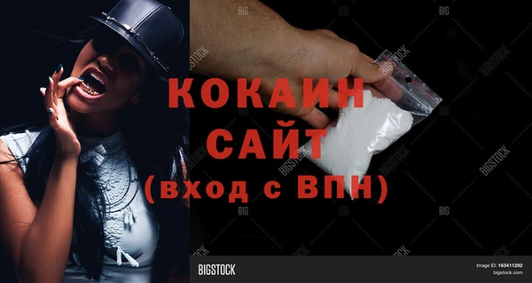 амф Корсаков