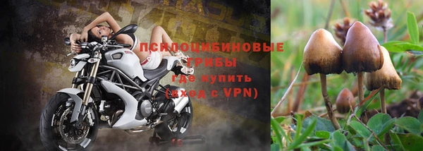гашик Красноперекопск