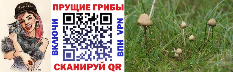 MEGA зеркало  Магадан  shop официальный сайт  Псилоцибиновые грибы прущие грибы 